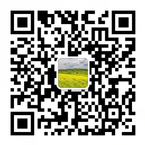 PT手机入口-PT（中国）
微信